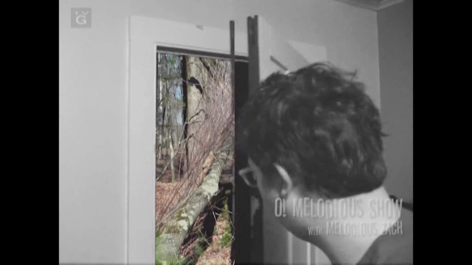 Thumbnail image for O! Melodious Show