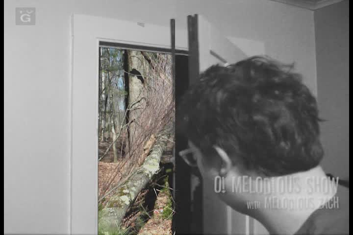 Thumbnail image for O! Melodious Show