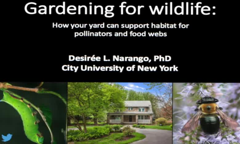 Thumbnail image for Greening Greenfield presents How to Attract Pollinators and Songbirds