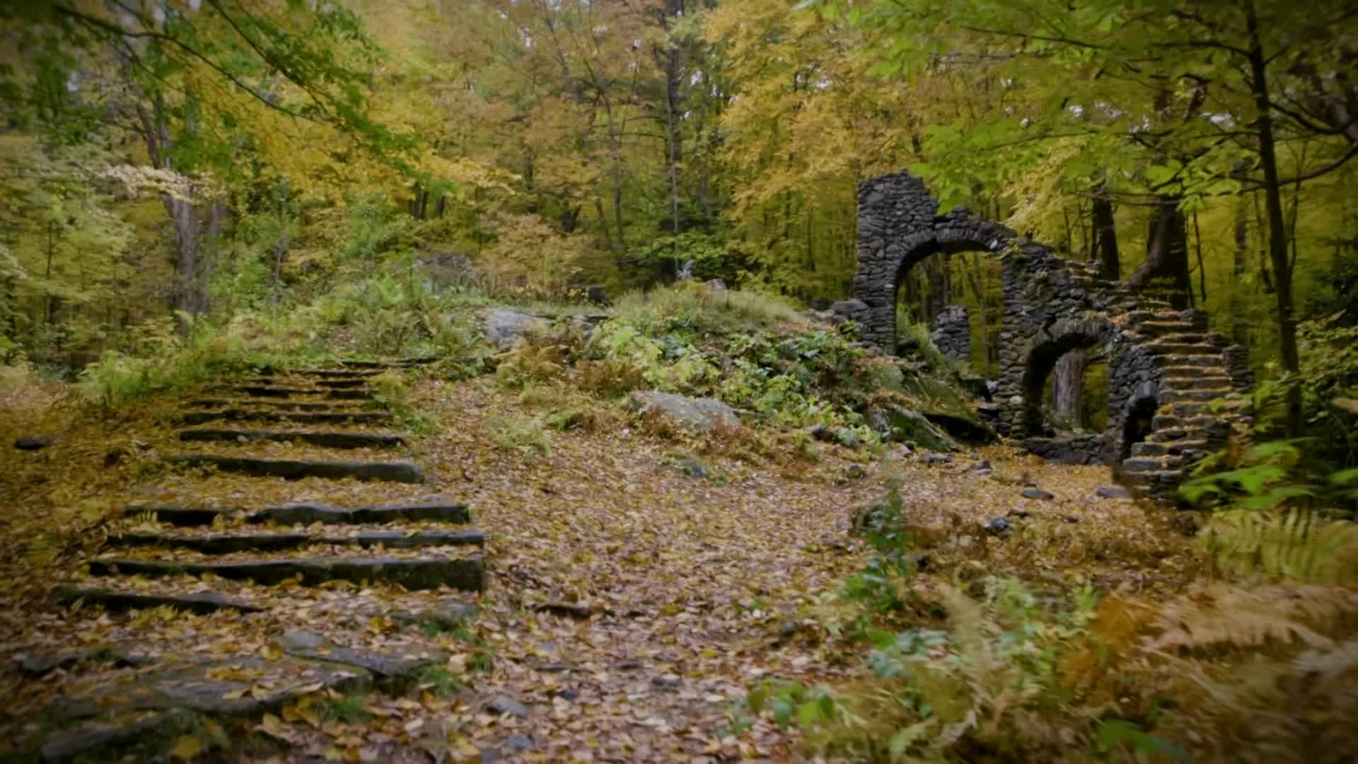 Thumbnail image for The Folklorist