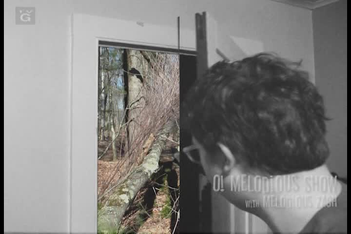 Thumbnail image for O! Melodious Show