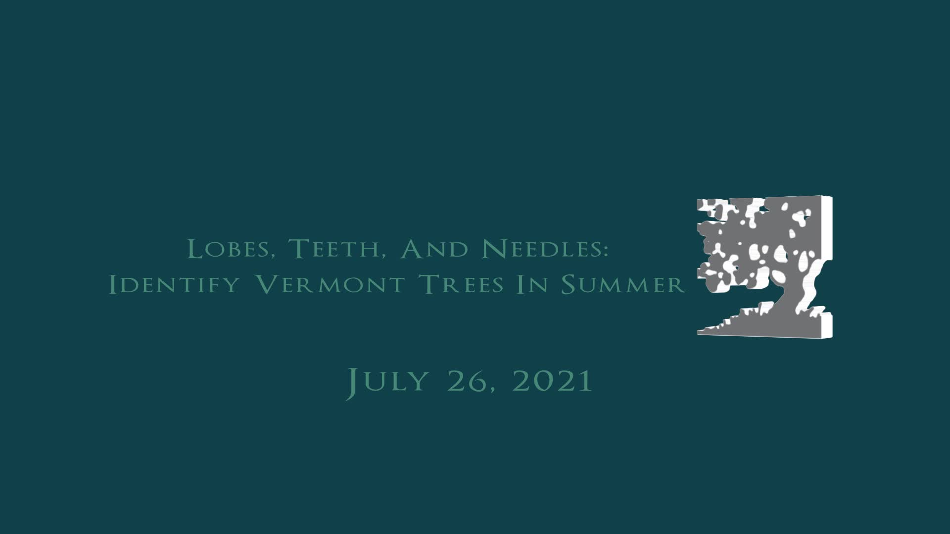 Thumbnail image for Vermont Land Trust 'Lobes, Teeth, And Needles: Identify Vermont Trees In Summer'