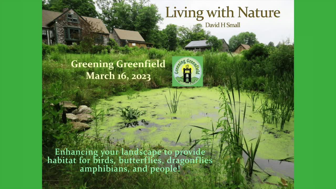 Thumbnail image for Greening Greenfield presents Living With Nature with Dave Small