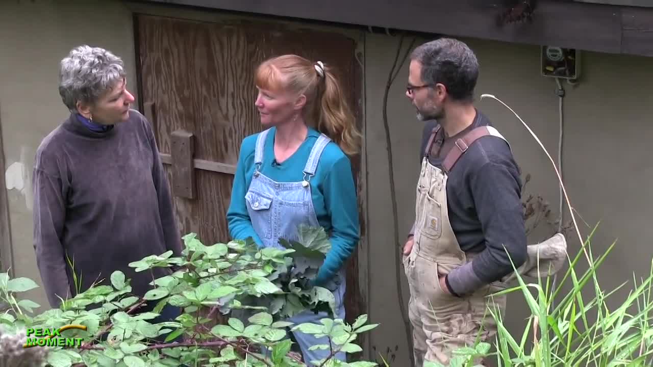 Thumbnail image for Grow Your Food in a Nook and Cranny Garden
