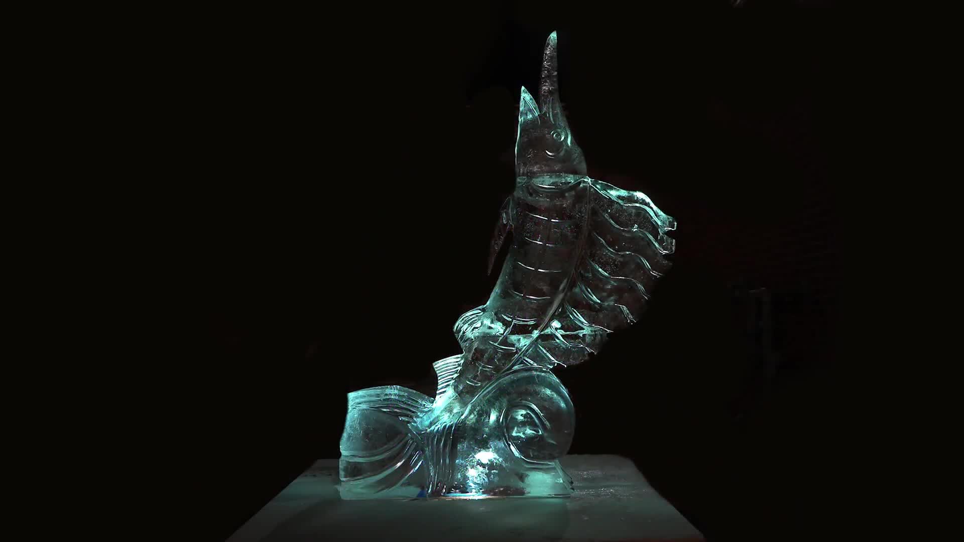 Thumbnail image for The South County Spotlight - 2024 Greenfield Winter Carnival
