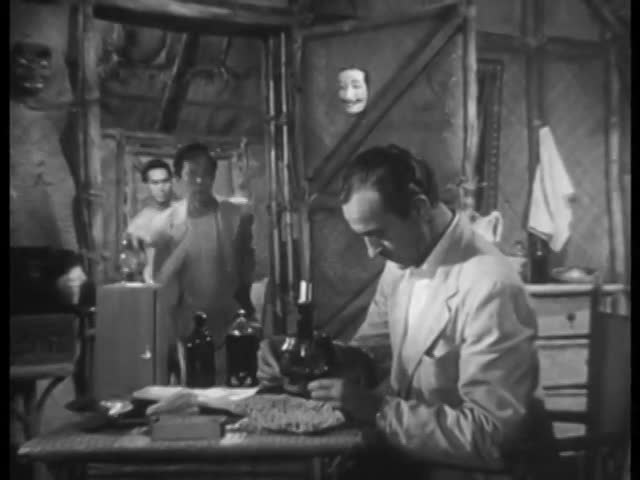 Thumbnail image for Four star playhouse - The Island