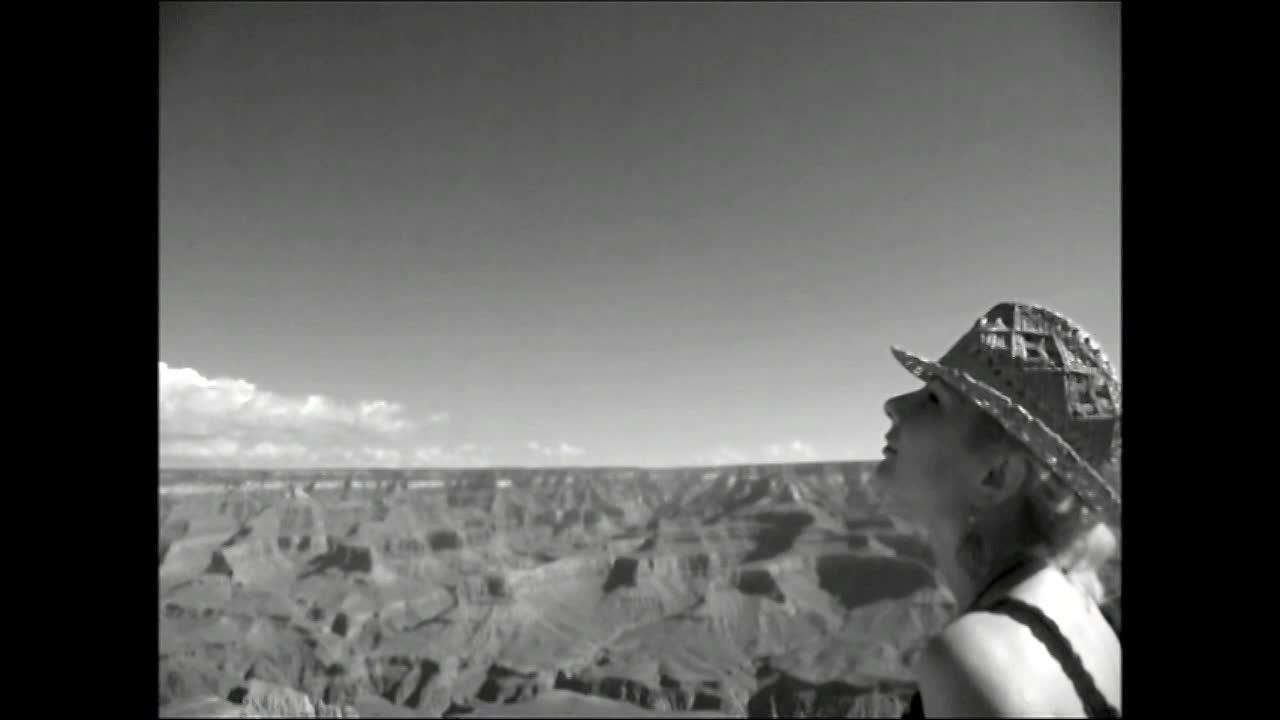 Thumbnail image for Bongo Boy TV  Eclipse, Fly and Honey