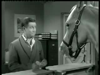 Thumbnail image for Mr Ed  The Beneficiary