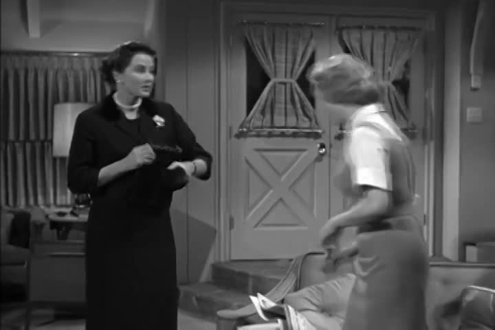 Thumbnail image for Mister Ed  Busy Wife