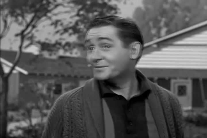 Thumbnail image for Mister Ed  Kiddy Park