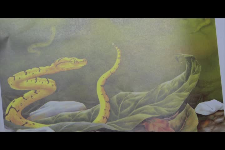 Thumbnail image for Lunenburg_Storytime_-_The_Books_We_Love,_Season_4_Episode_17