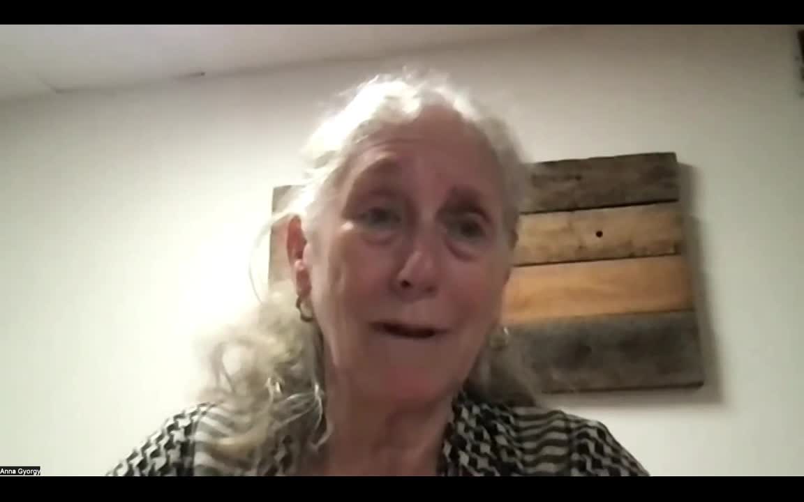 Thumbnail image for lets Talk About Palestine shogen july 2024