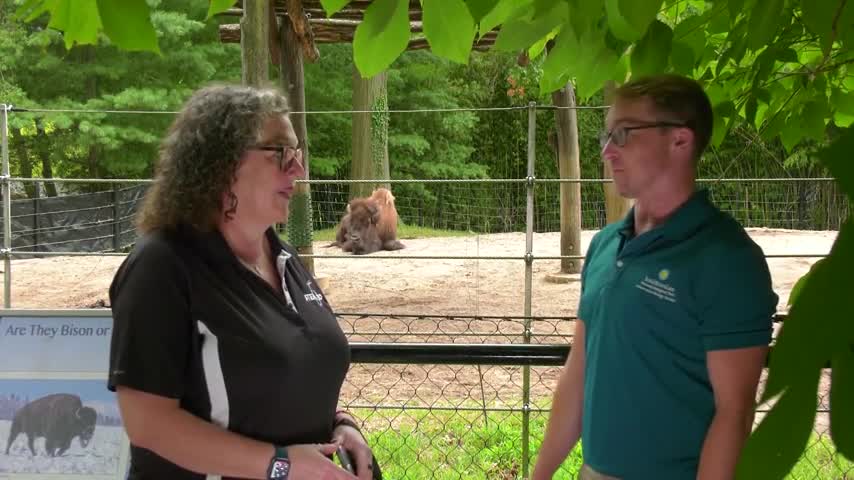 STEM in 30 - Animals and the Aerospace Industry