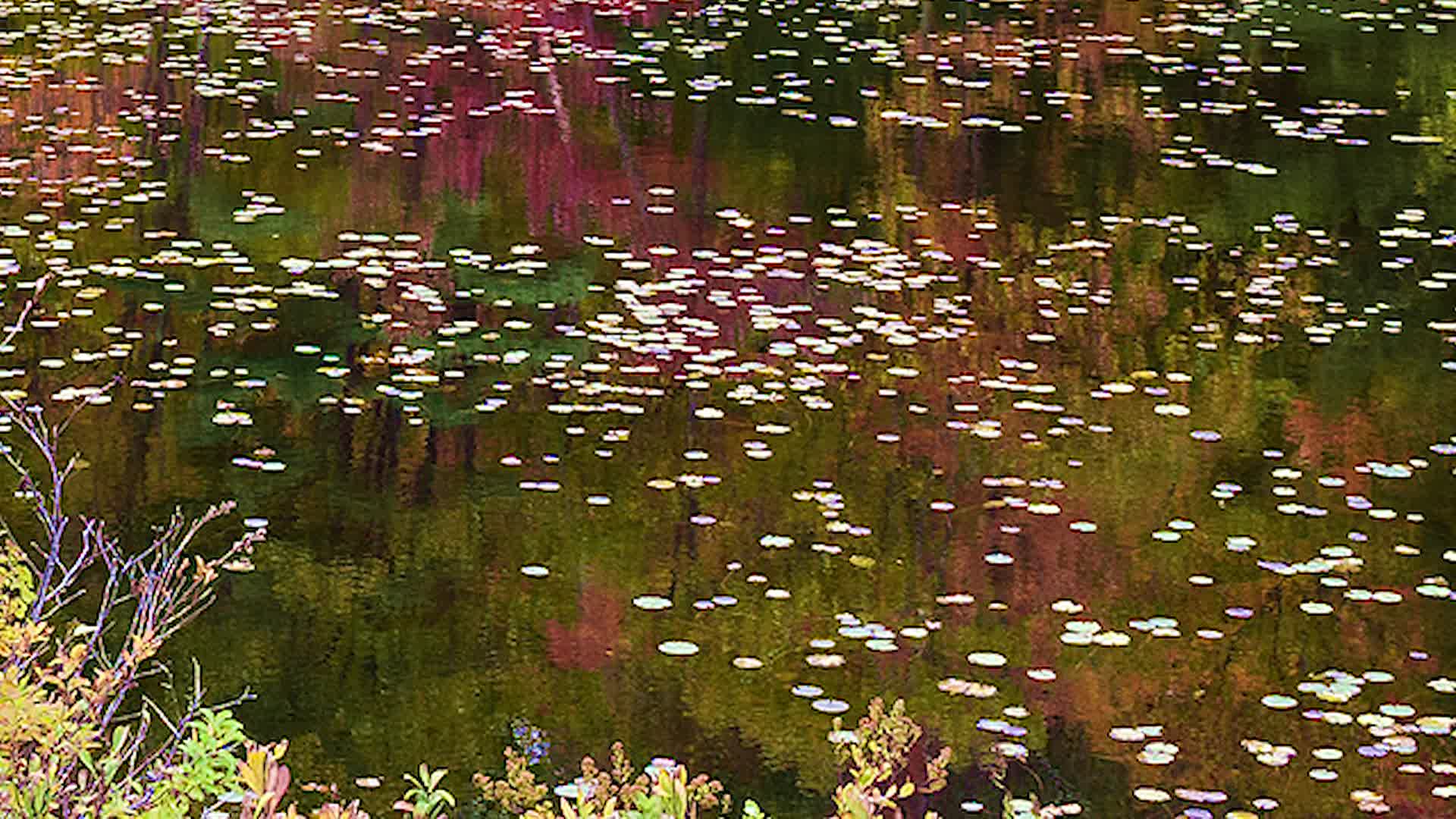 Thumbnail image for Just a Moment 01