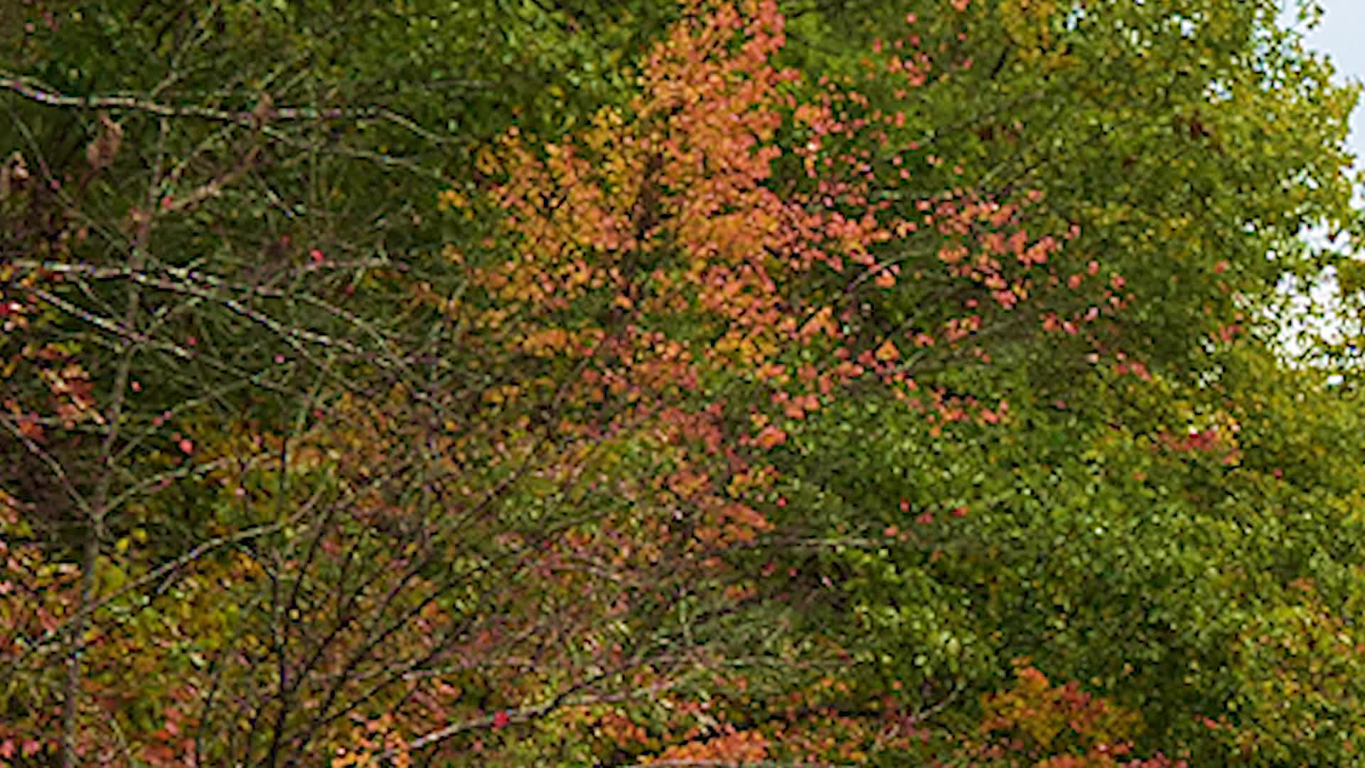 Thumbnail image for Just a Moment 10