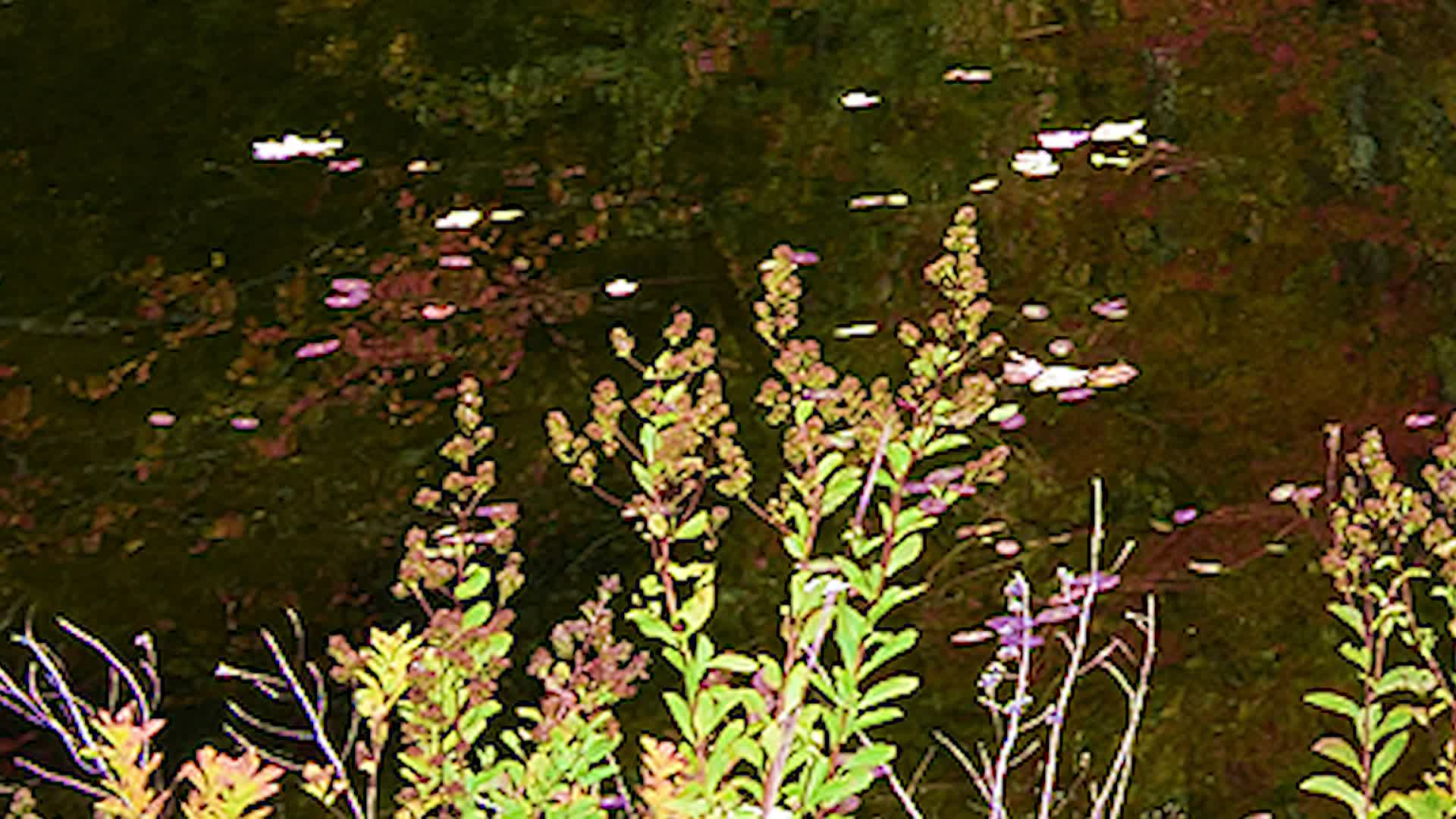 Thumbnail image for Just a Moment 12