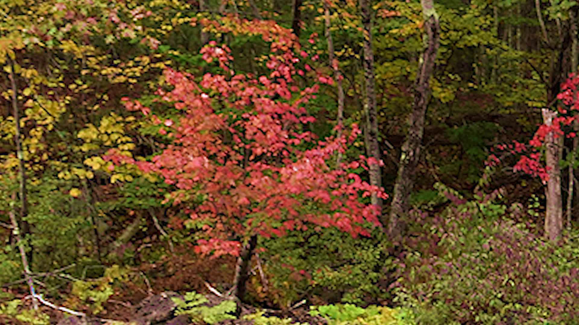 Thumbnail image for Just a Moment 14