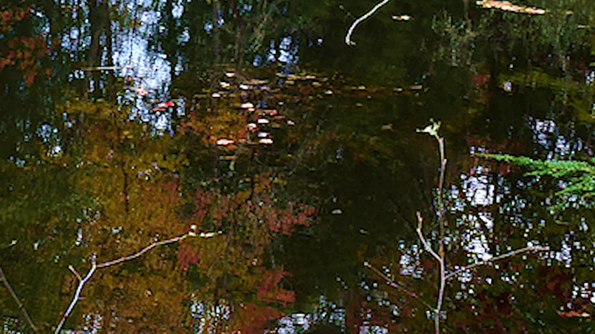 Thumbnail image for Just a Moment 15