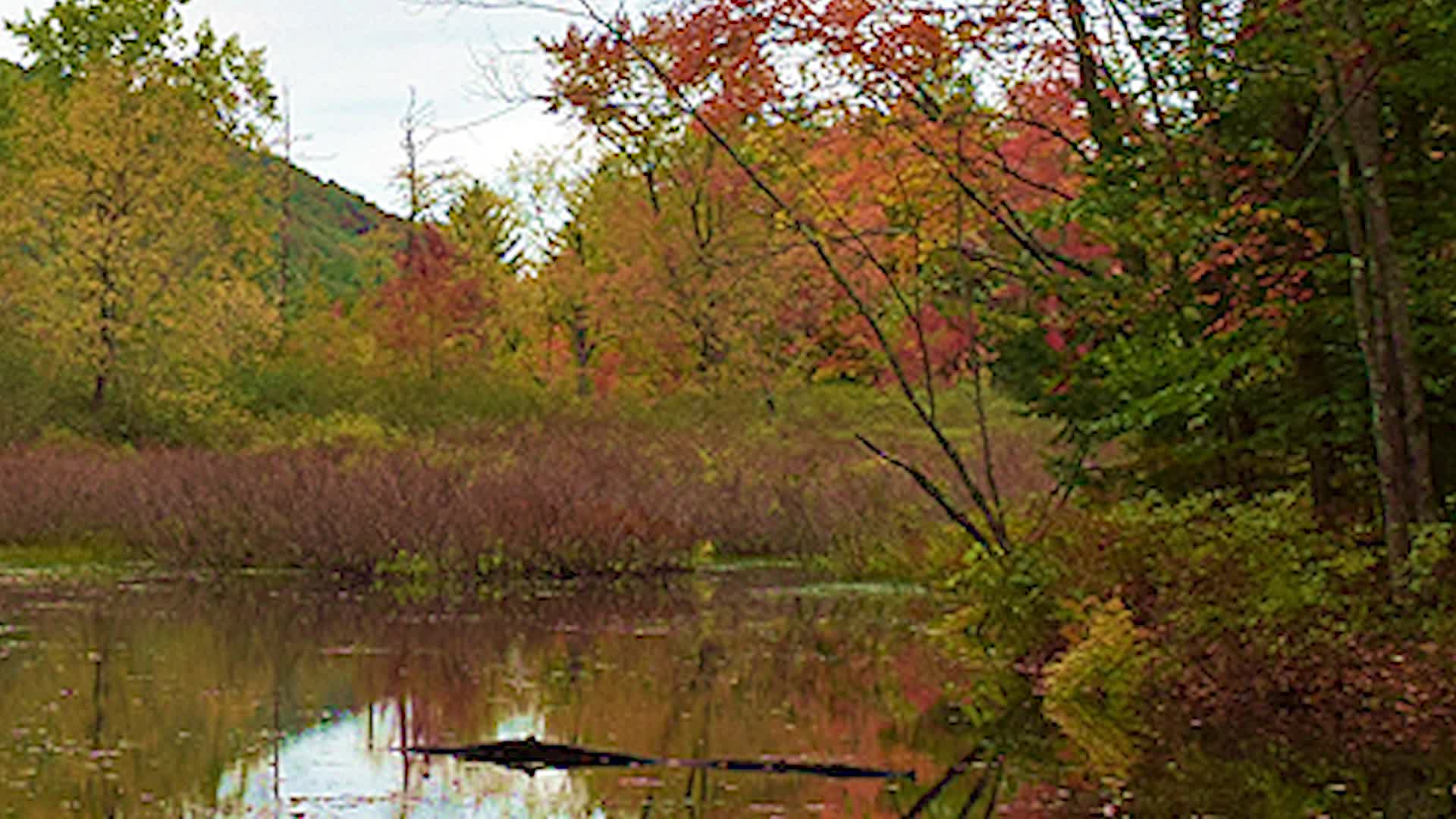 Thumbnail image for Just a Moment 19