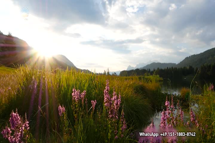 Thumbnail image for Our True Being