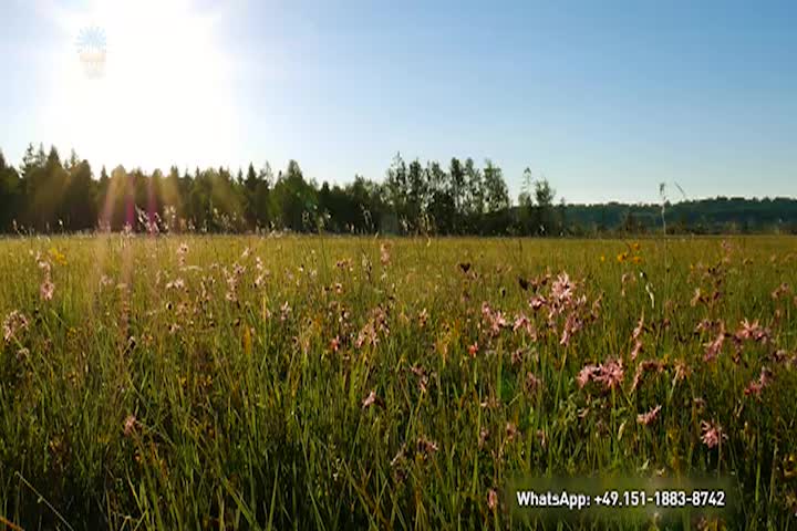 Meditation - Experience Christ in Us
