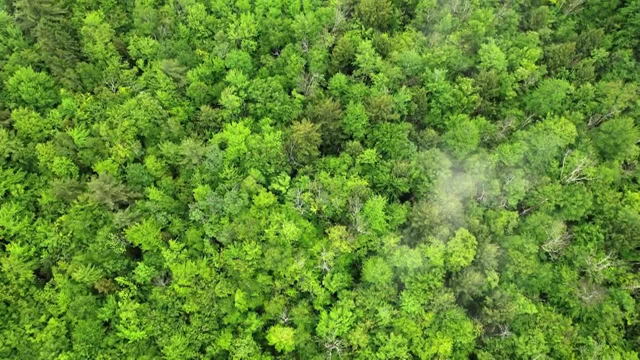 Opening the Outdoors to Everyone  AMCs Outdoor Journey Fund