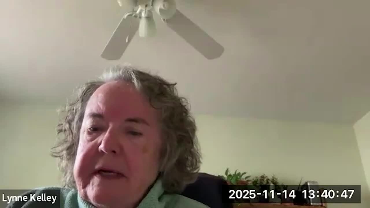 Commission on Disability Access November 14 2025