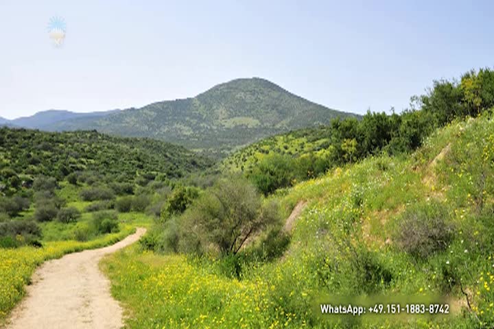 Thumbnail image for The Childhood and Youth of Jesus