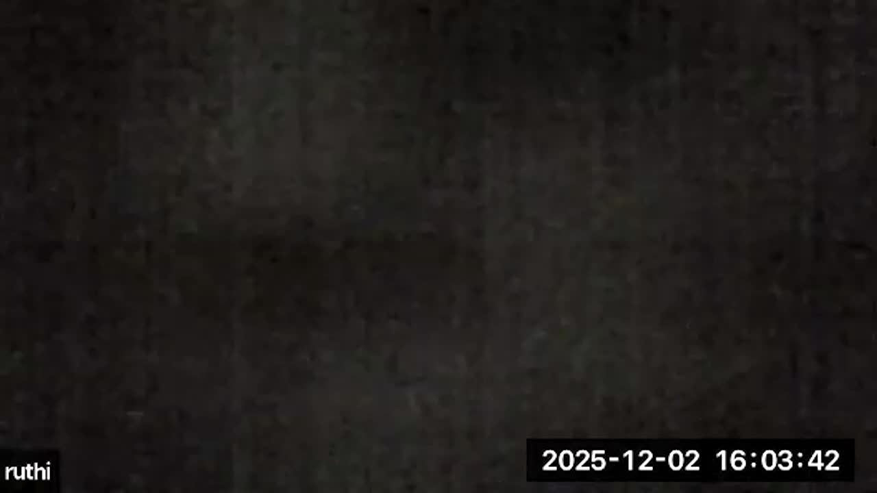 Board of License Commissioners December 2 2025