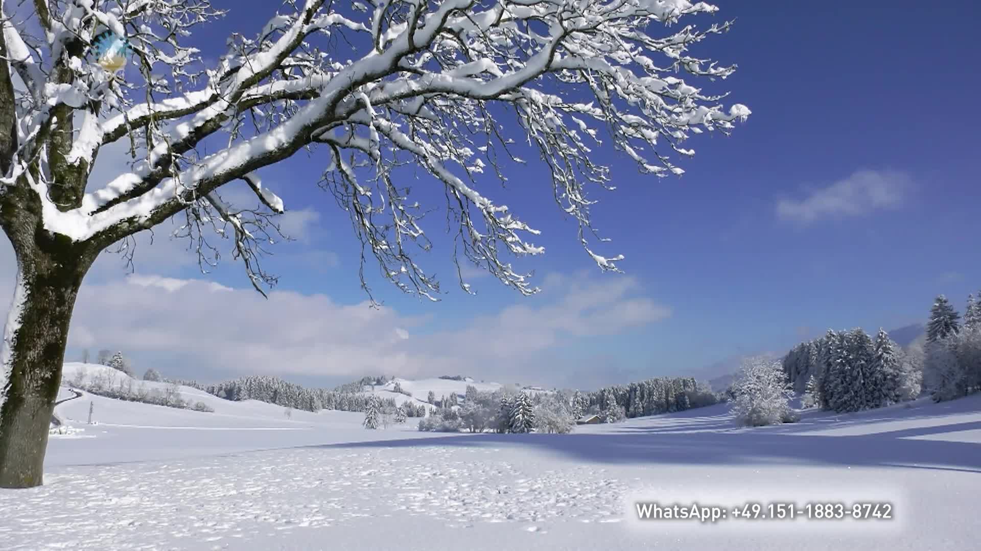 Meditation for the Turn of the Year