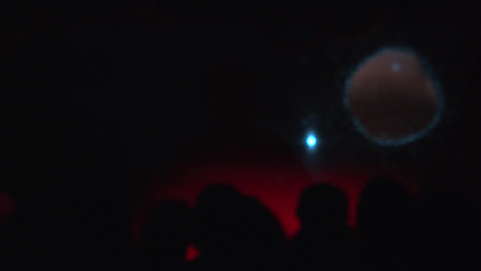 The Apple, The Spider and the Knitter