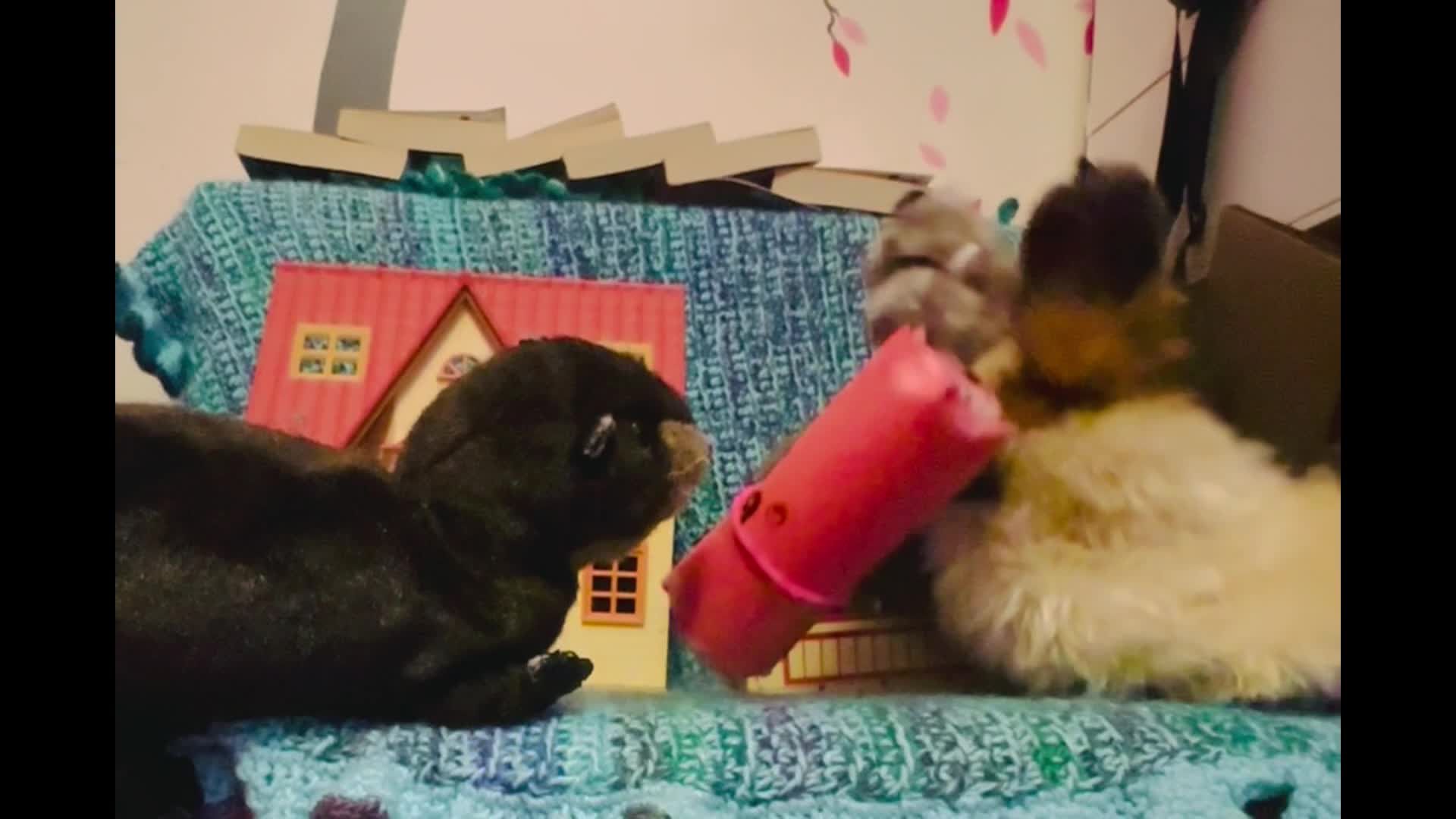 Thumbnail image for The Quest Of The Magic Dragon!