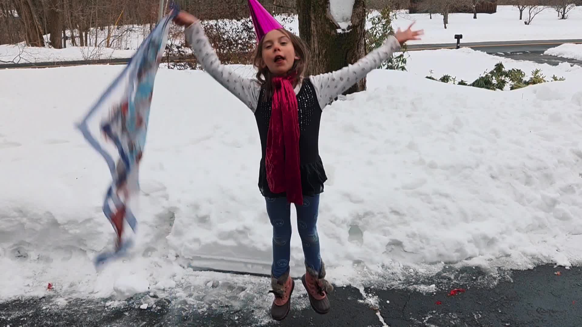 Thumbnail image for The Flying Flowers