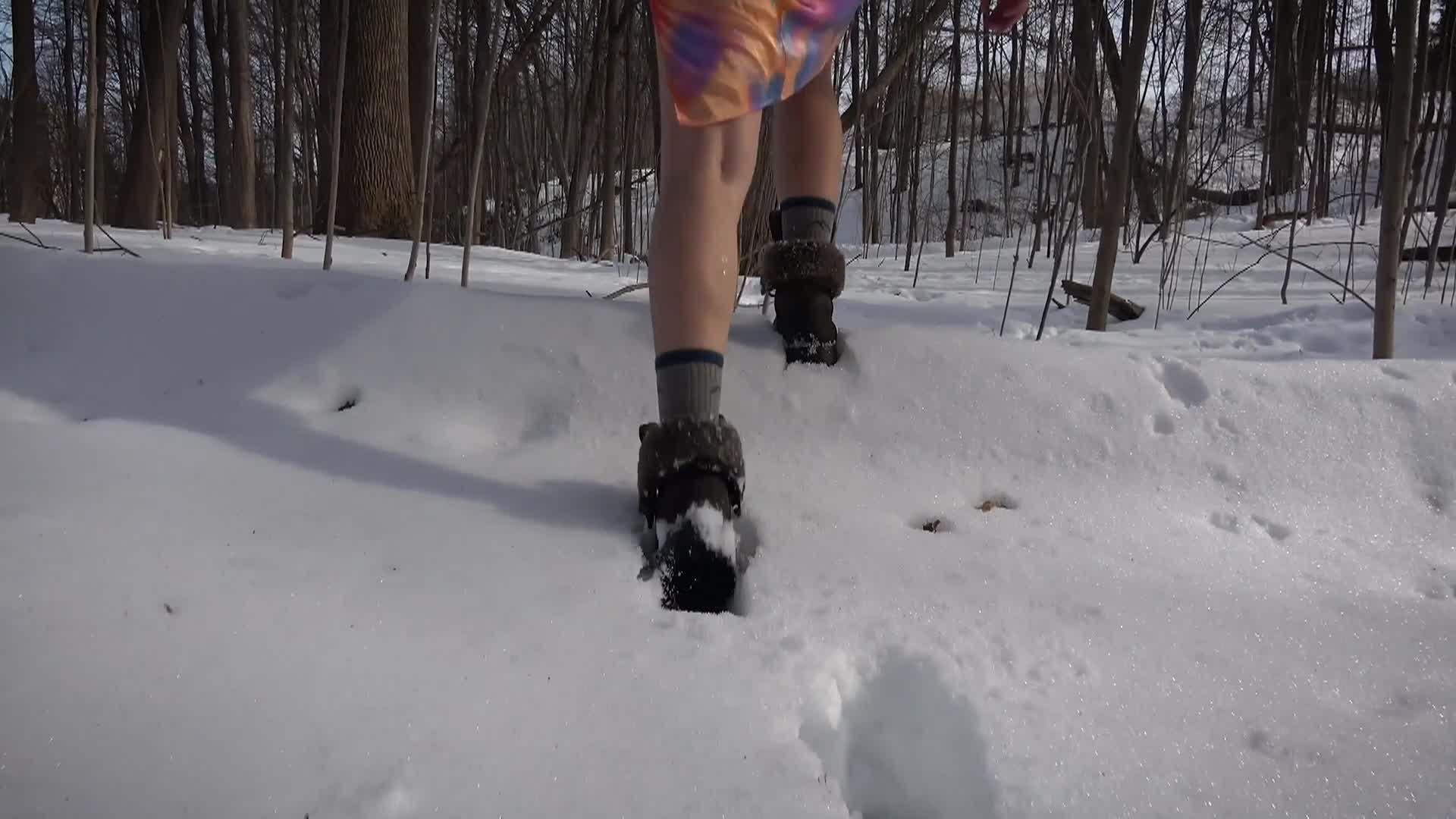 Thumbnail image for VENUS