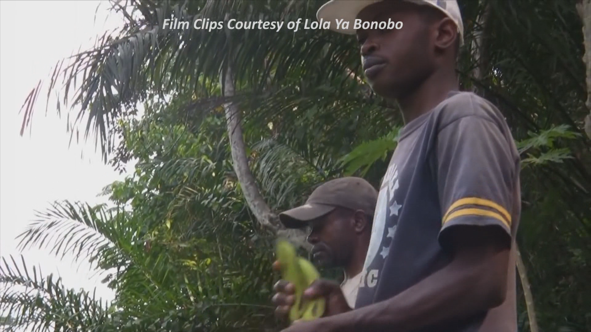 Thumbnail image for Bonobos The Evolution of Happiness
